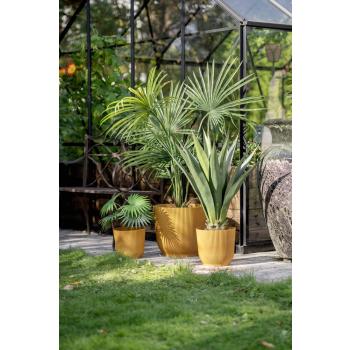 Utepotte Sofia i oker stående ute i hage