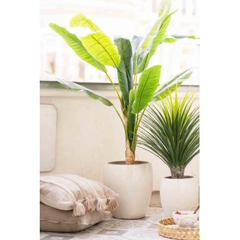 Banantre og palme i utepotte isla på balkong