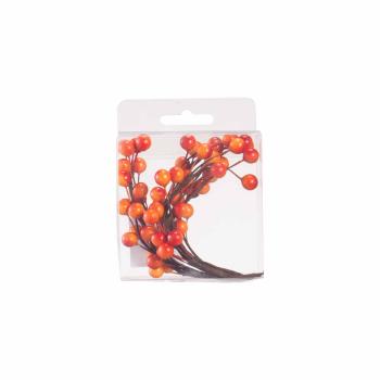 Orange bær i pakke