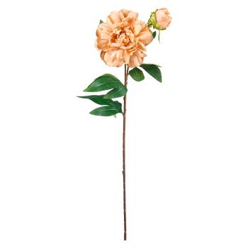 Stilkblomst Peon 70cm oker