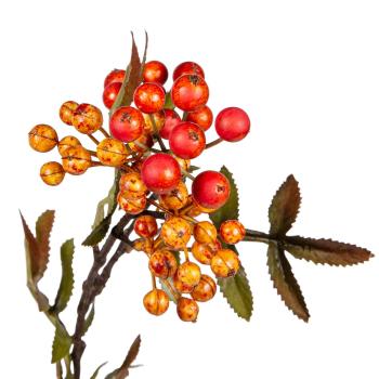 Kvist med orange bær nærbilde