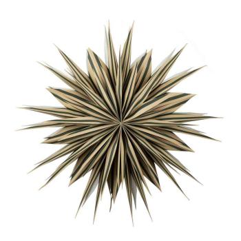 Adventsstjerne Stripe grønn