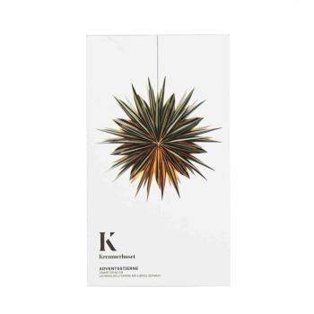 Adventsstjerne Stripe grønn i eske