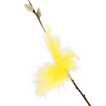 Fjær 5 pk gul på gåsunge