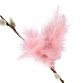 Fjær 5 pk rosa på gåsunge