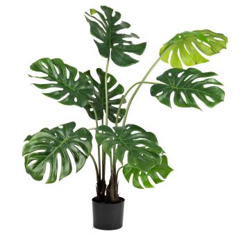 Monstera i potte 109 cm
