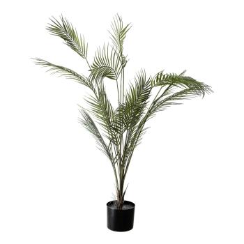Plante Palme stor