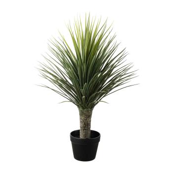 Palme i potte 85 cm