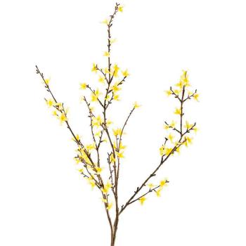 Gul vårblomst forsythia