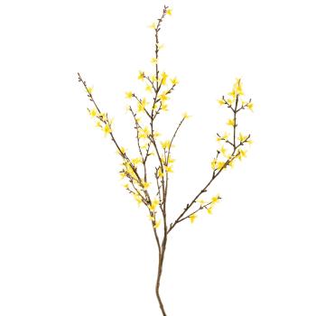 Gul vårblomst forsythia