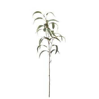 Grend med grønne blader