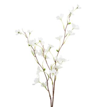 Gren kornell på stilk