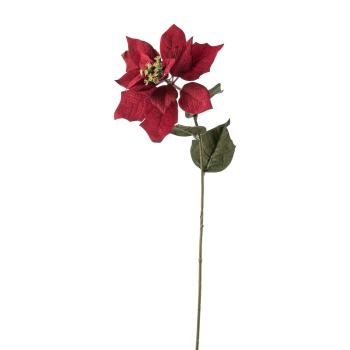 Julestjerne stilkblomst