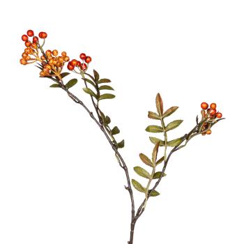 Kvist med orange bær