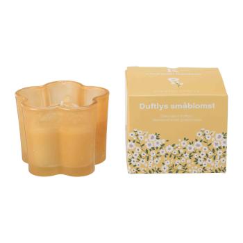 Duftlys småblomst Lime, basilikum & mandarin