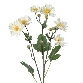 Stilkblomst Ranunkel 69 cm hvit