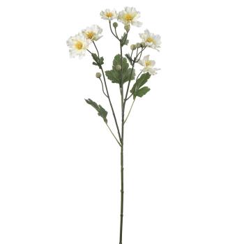 Stilkblomst Ranunkel 69 cm hvit