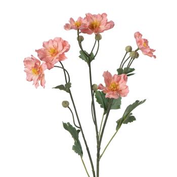 Stilkblomst Ranunkel 69 cm fersken