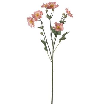 Stilkblomst Ranunkel 69 cm fersken