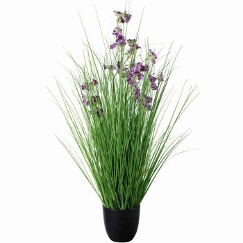 Lilla blomst / gressplante