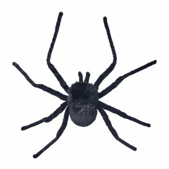 Dekor Edderkopp ovenfra