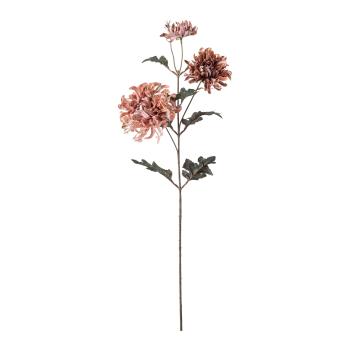 Stilkblomst Krysantemum 80cm rosa