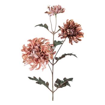 Stilkblomst Krysantemum 80cm rosa