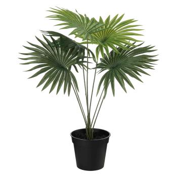 Plante Livistona 42cm