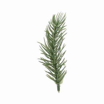 Plante granbar tre stk