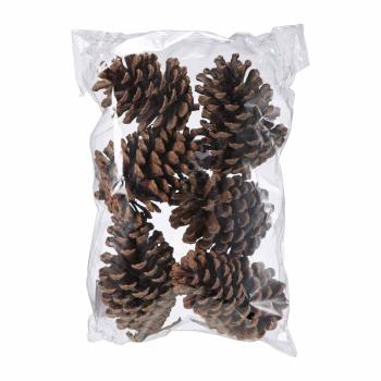 Kongler Store i pose