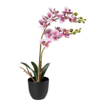 Orkide i potte 40cm