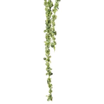 Gren Amarant nærbilde