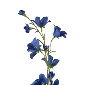 Stilkblomst Blåklokke 60cm nærbilde