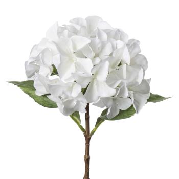 Stilkblomst Hortensia 49 cm hvit