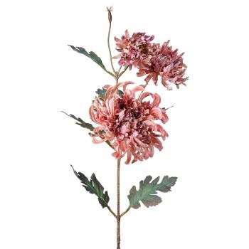Stilkblomst Krysantemum 80cm rosa