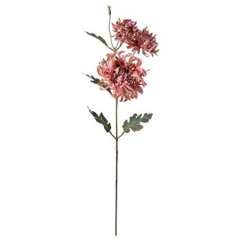 Stilkblomst Krysantemum 80cm rosa
